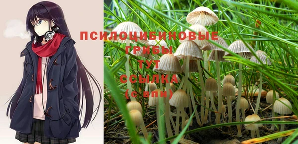 бошки Баксан