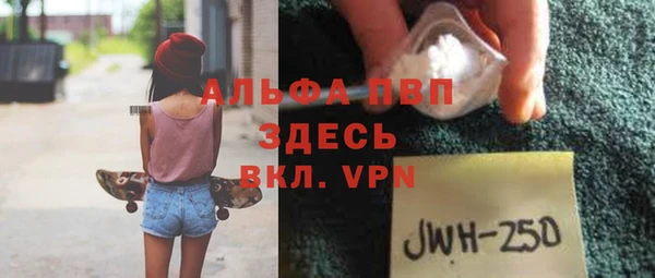 стаф Арсеньев
