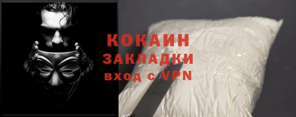индика Рославль