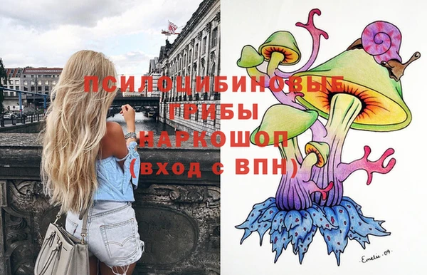 бошки Баксан