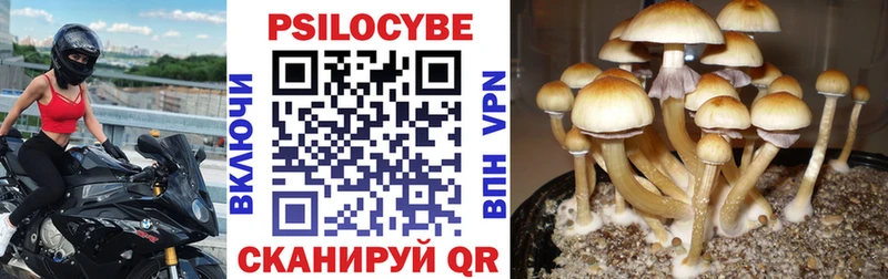 где купить наркотик  Беслан  Галлюциногенные грибы прущие грибы 